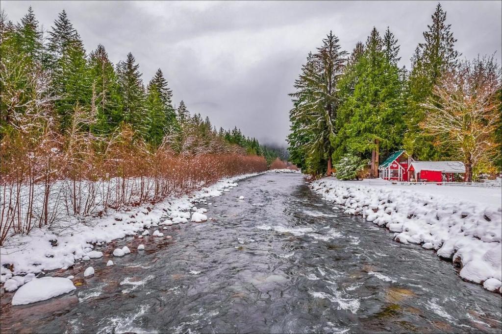 New: Steps From White River Near Mount Rainier National Park Greenwater 外观 照片