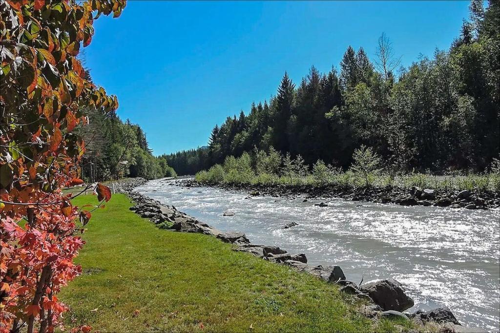New: Steps From White River Near Mount Rainier National Park Greenwater 外观 照片
